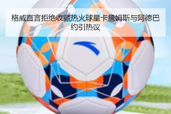 格威直言拒绝收藏热火球星卡詹姆斯与阿德巴约引热议